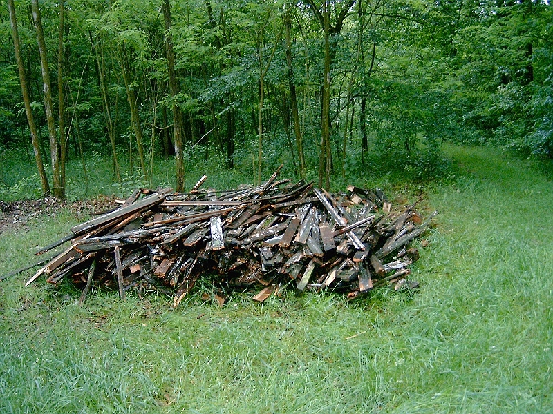20100601 001.jpg